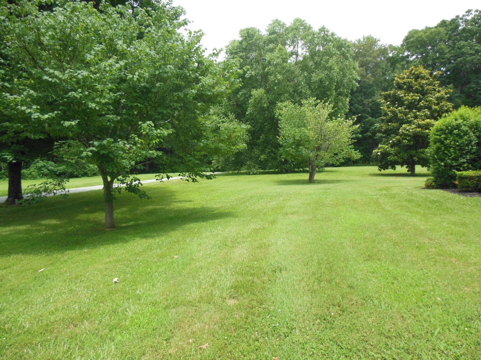 4181 Sandy Springs Road Springfield, TN 37172 - Photo 33 of 44 a view of field with trees in the background