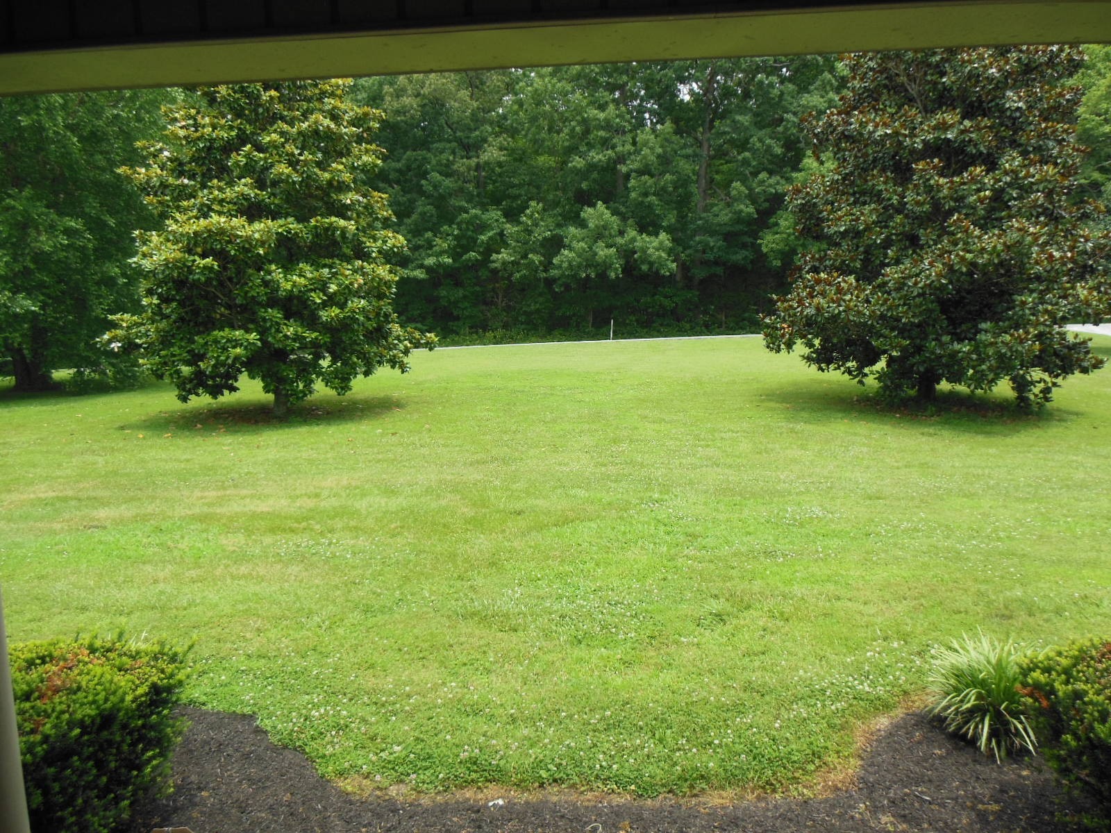 4181 Sandy Springs Road Springfield, TN 37172 - Photo 34 of 44 a view of a green yard