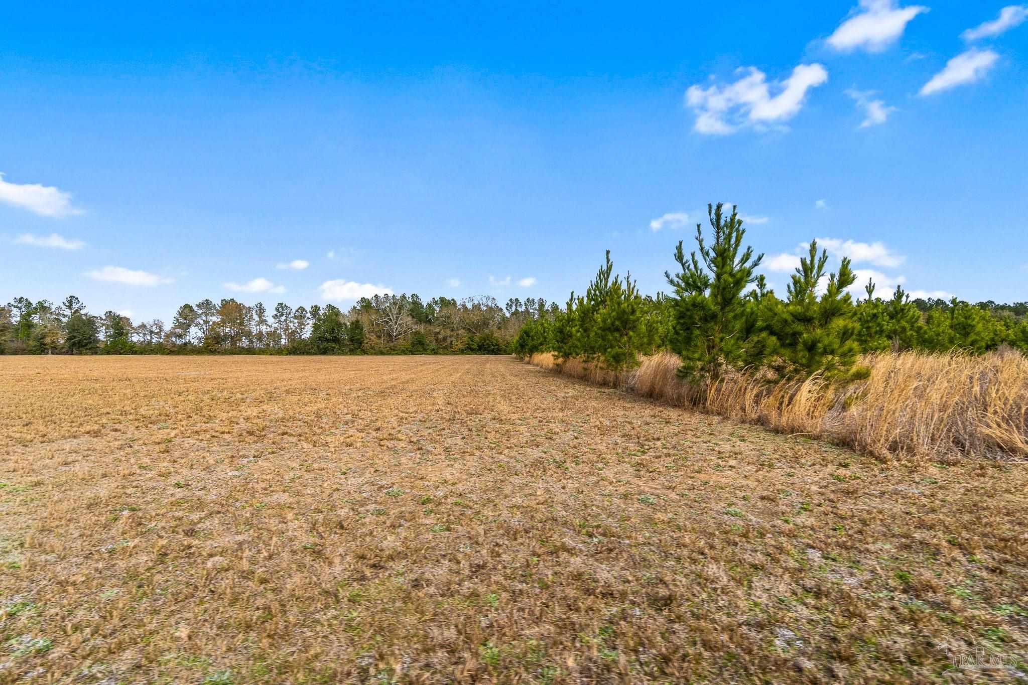 2563 Dryden Lane Pace, FL 32571 - Photo 8 of 11