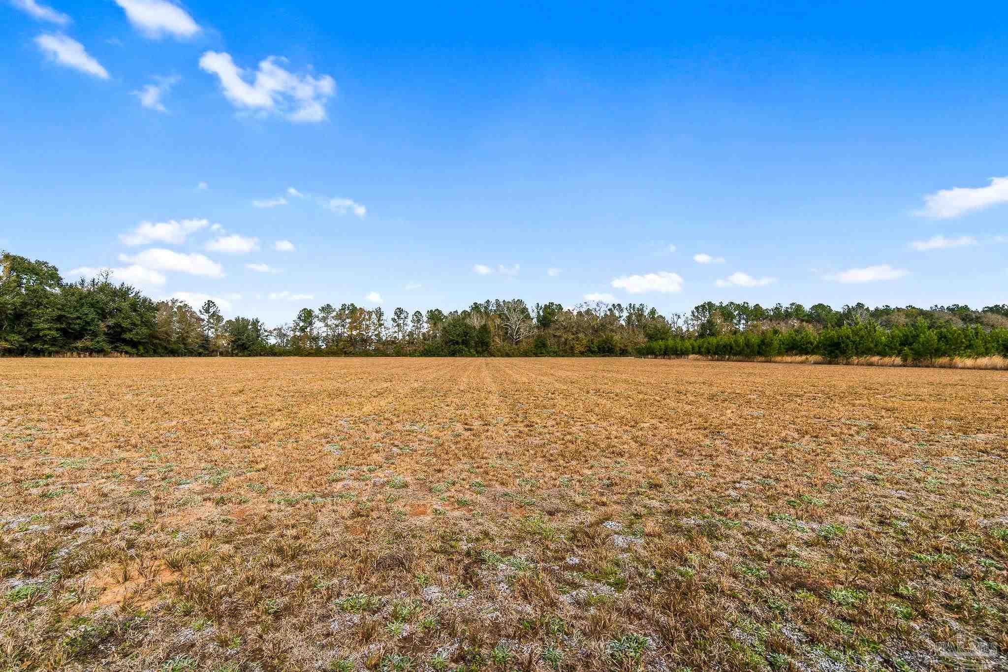 2563 Dryden Lane Pace, FL 32571 - Photo 9 of 11