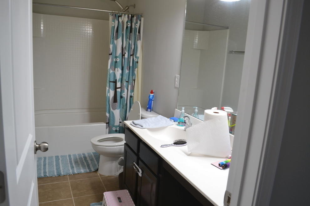 239 Decatur Drive Summerville, SC 29486 - Photo 11 of 19 First Bathroom