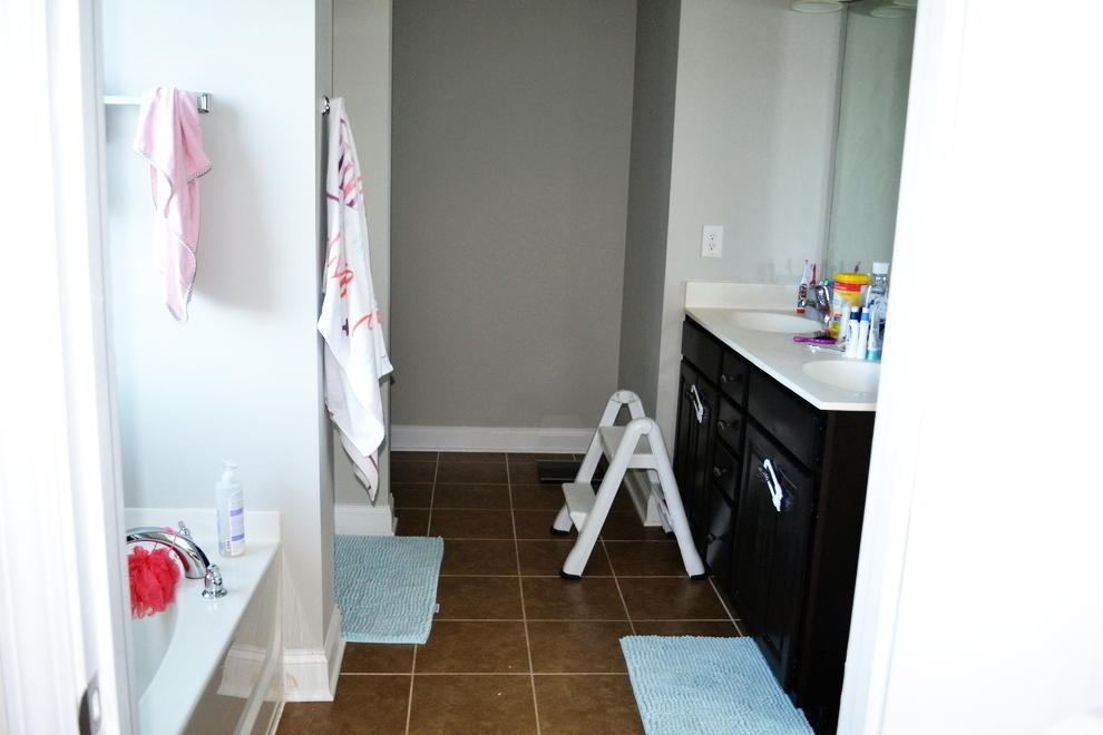 239 Decatur Drive Summerville, SC 29486 - Photo 17 of 19 Master Bathroom