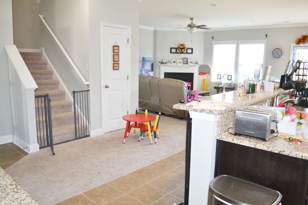 239 Decatur Drive Summerville, SC 29486 - Photo 7 of 19 Living Room 2
