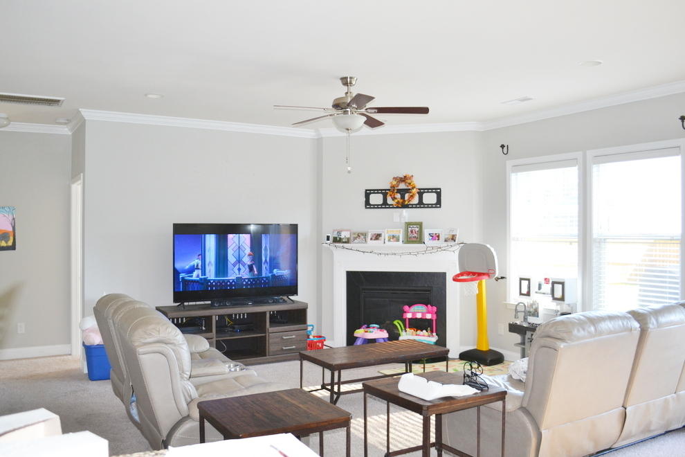 239 Decatur Drive Summerville, SC 29486 - Photo 9 of 19 Living Room