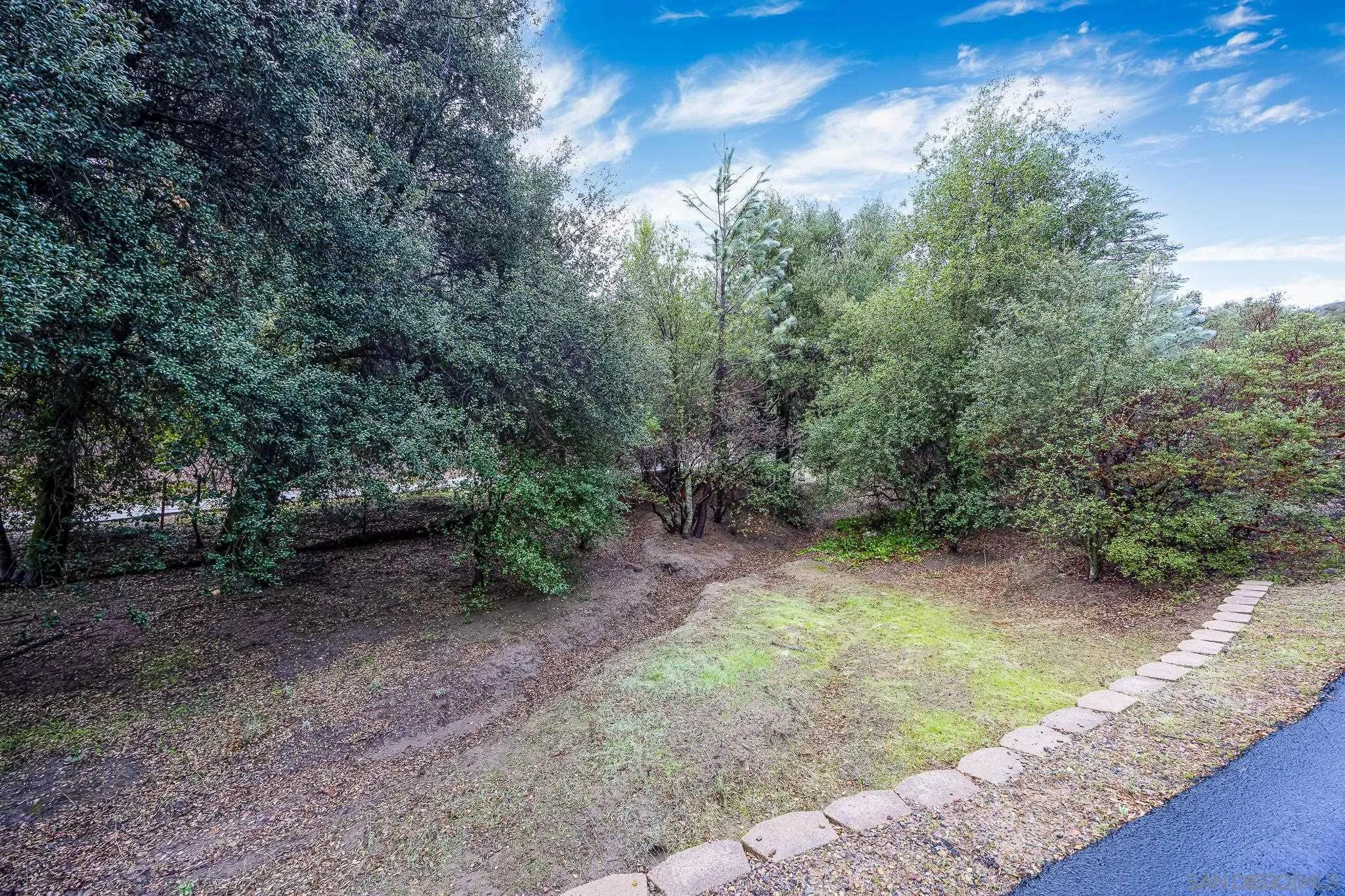 7570 Corte Madera Road Pine Valley, CA 91962 - Photo 28 of 53 a view of a yard with a tree