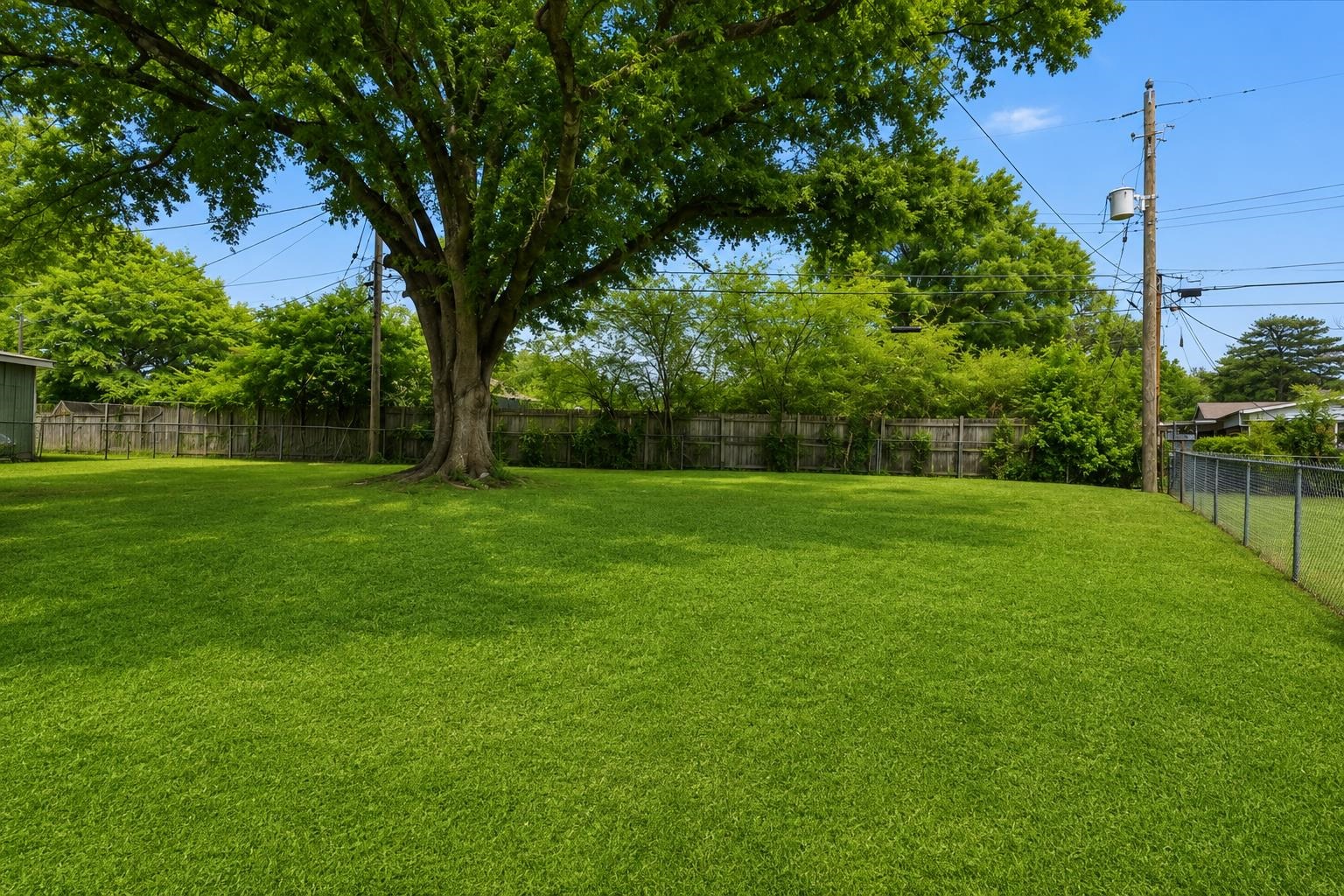 1176 South White Station Road Memphis, TN 38117 - Photo 4 of 15 Expansive grassy yard featuring a mature shade tree, full privacy fencing along the rear, and partial chain-link fencing