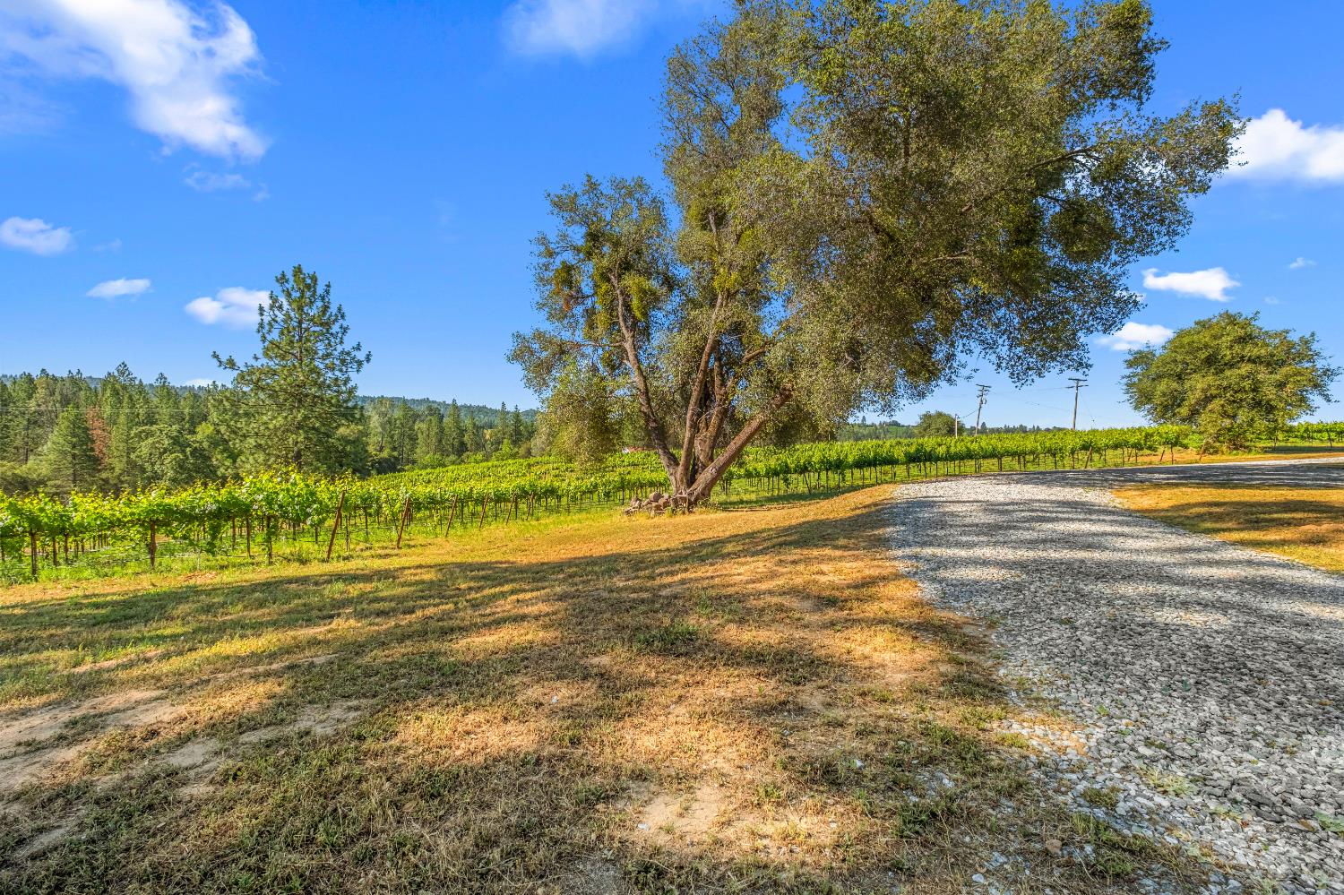 7330 Perry Creek Road Somerset, CA 95684 - Photo 51 of 57