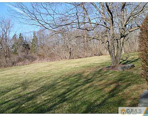 116 Almond Road Freehold, NJ 07728 - Photo 12 of 14 a view of yard with large trees