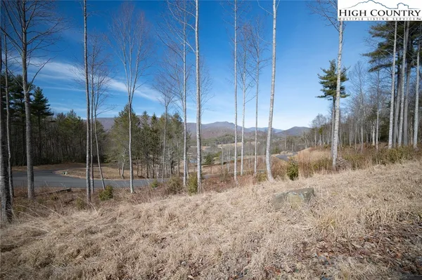 a view of outdoor space with garden view