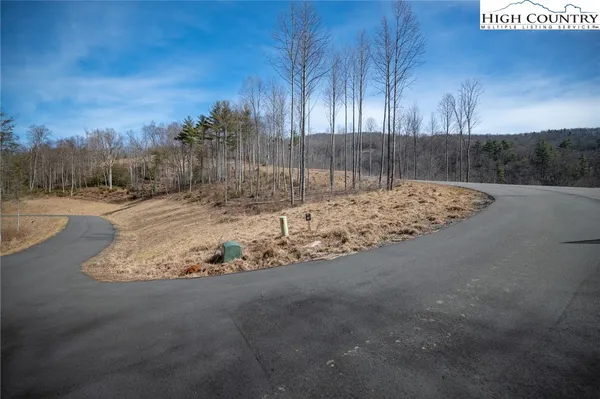 a view of a yard with large trees