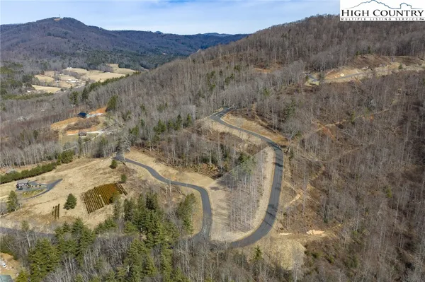 a view of a dry yard