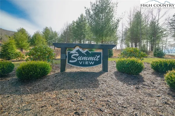 a view of outdoor space with garden and trees