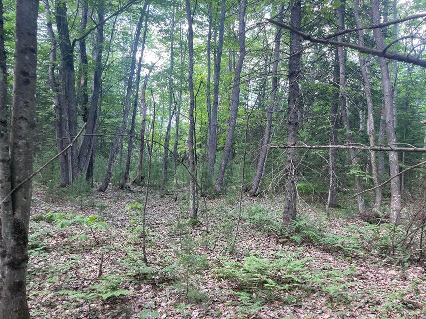 80 Gammon Road Peru, ME 04290 - Photo 14 of 18