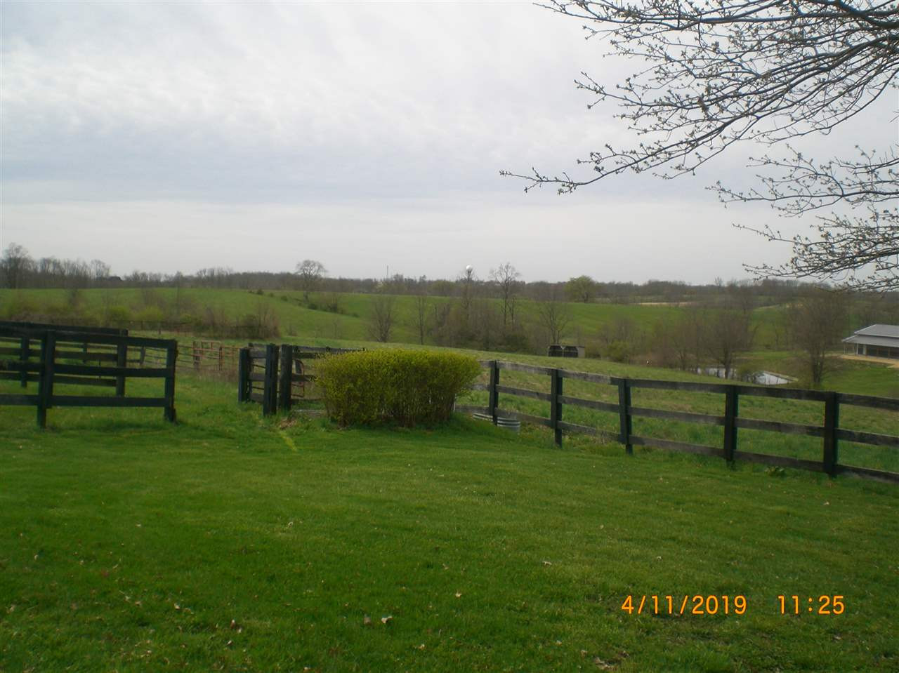 1297 Bramlage Road Walton, KY 41094 - Photo 5 of 18