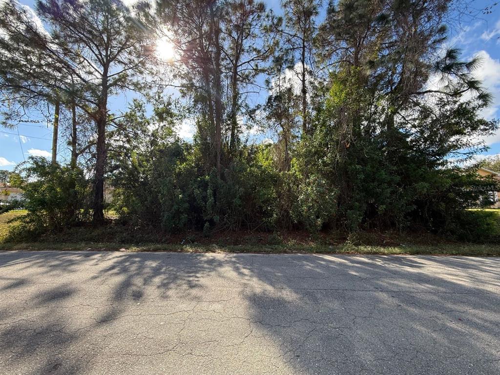3315 24th Street West Lehigh Acres, FL 33971 - Photo 1 of 7 a view of backyard with green space