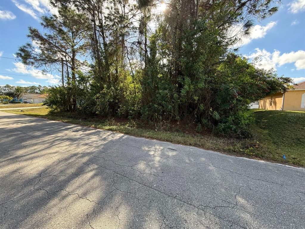 3315 24th Street West Lehigh Acres, FL 33971 - Photo 2 of 7 a view of a yard with a tree
