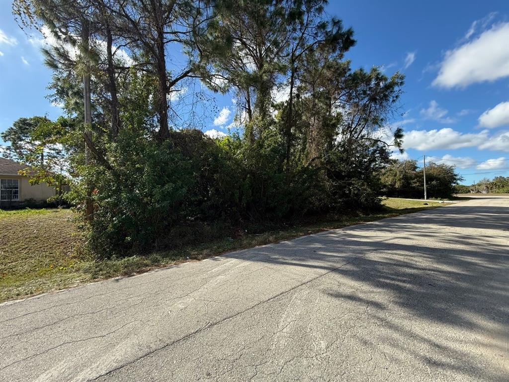 3315 24th Street West Lehigh Acres, FL 33971 - Photo 3 of 7 a view of path and green space