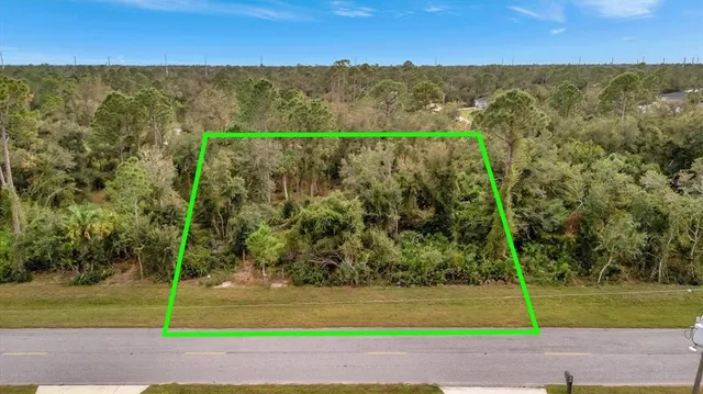 a view of a yard with an empty space and mountain view