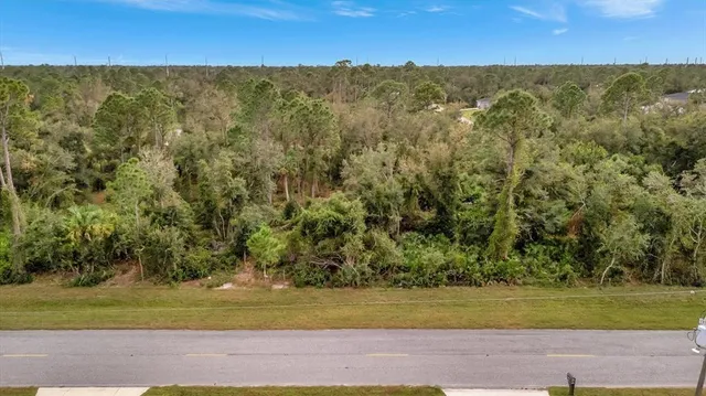 a view of a yard with an trees