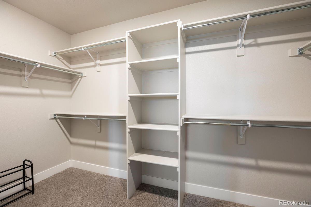 6239 Stable View Street Castle Pines, CO 80108 - Photo 25 of 40