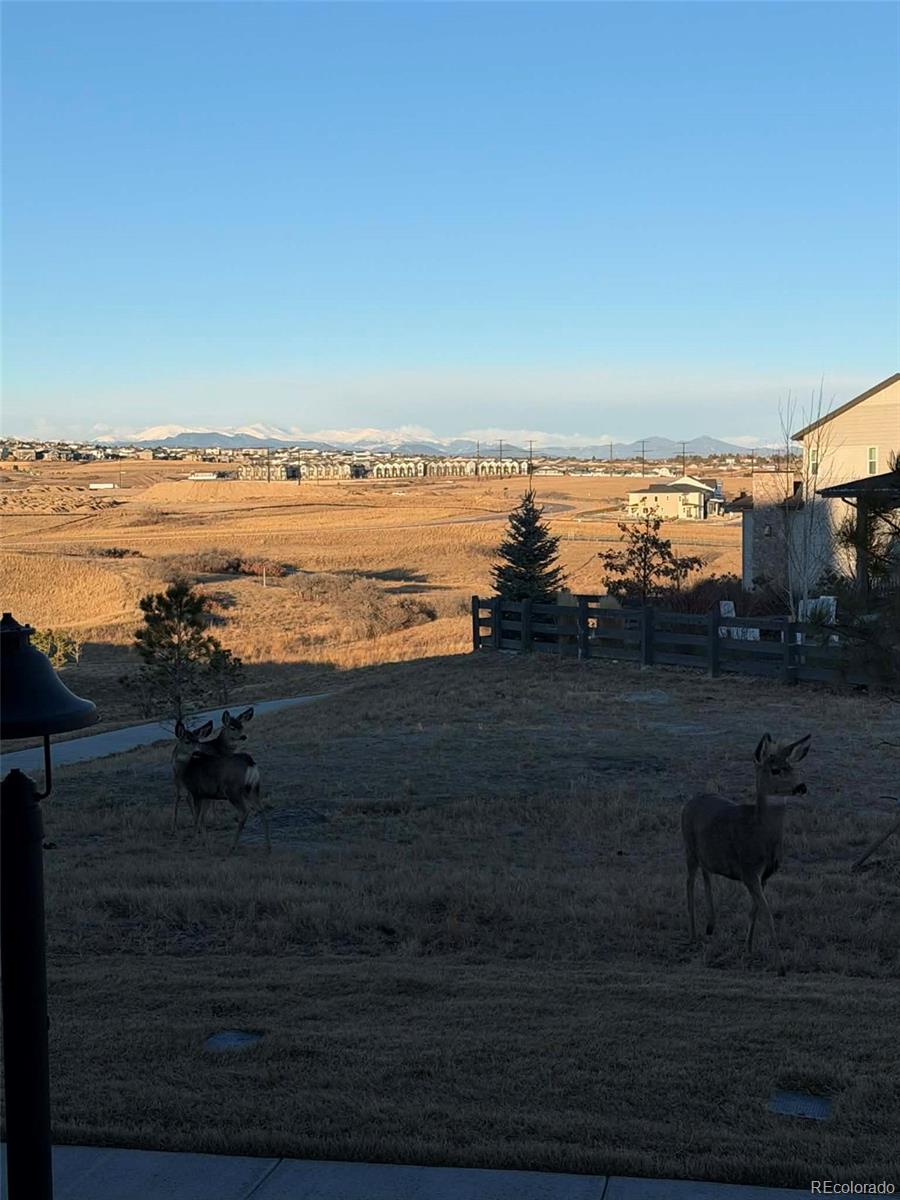 6239 Stable View Street Castle Pines, CO 80108 - Photo 40 of 40