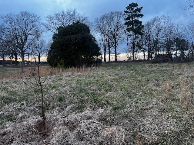 8996 Parris Bridge Road Chesnee, SC 29323 - Photo 3 of 3