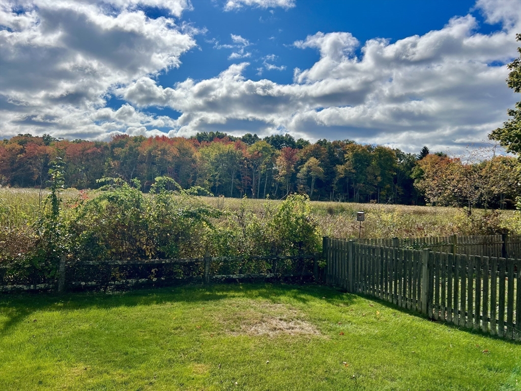 23 Glover Road Needham, MA 02494 - Photo 6 of 40 a view of a garden