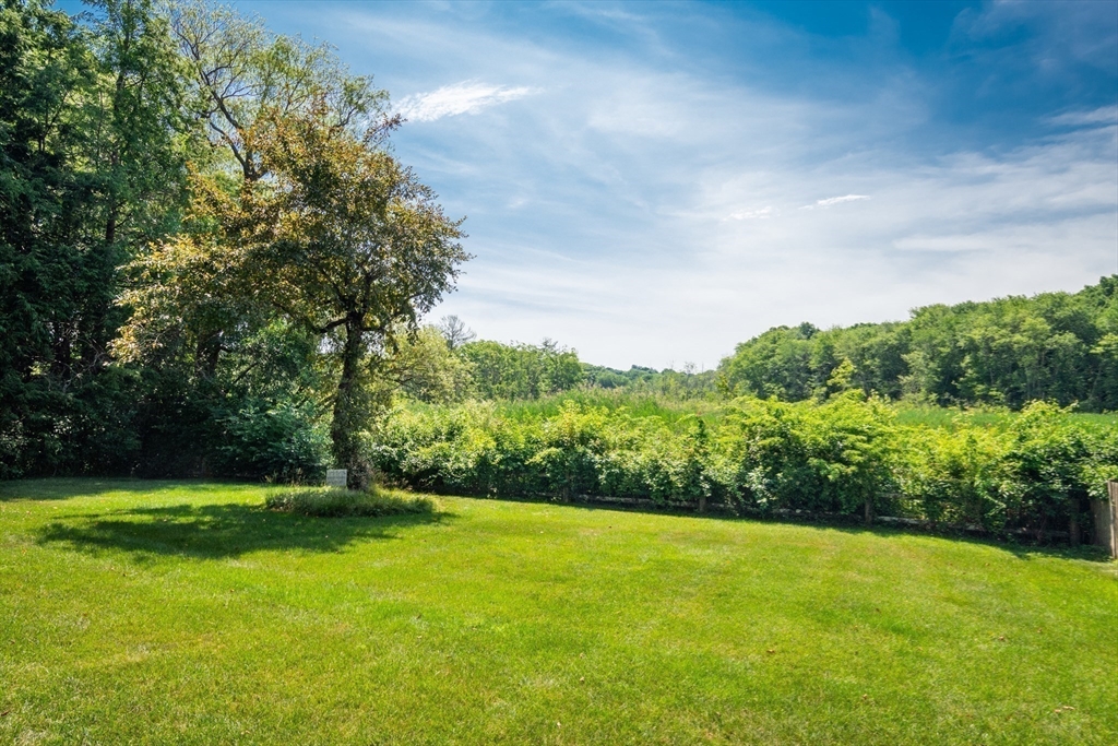 23 Glover Road Needham, MA 02494 - Photo 7 of 40 a view of a big yard with large trees