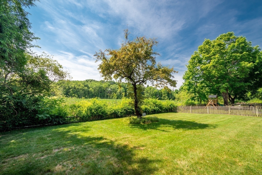 23 Glover Road Needham, MA 02494 - Photo 9 of 40 a view of a garden with a slide