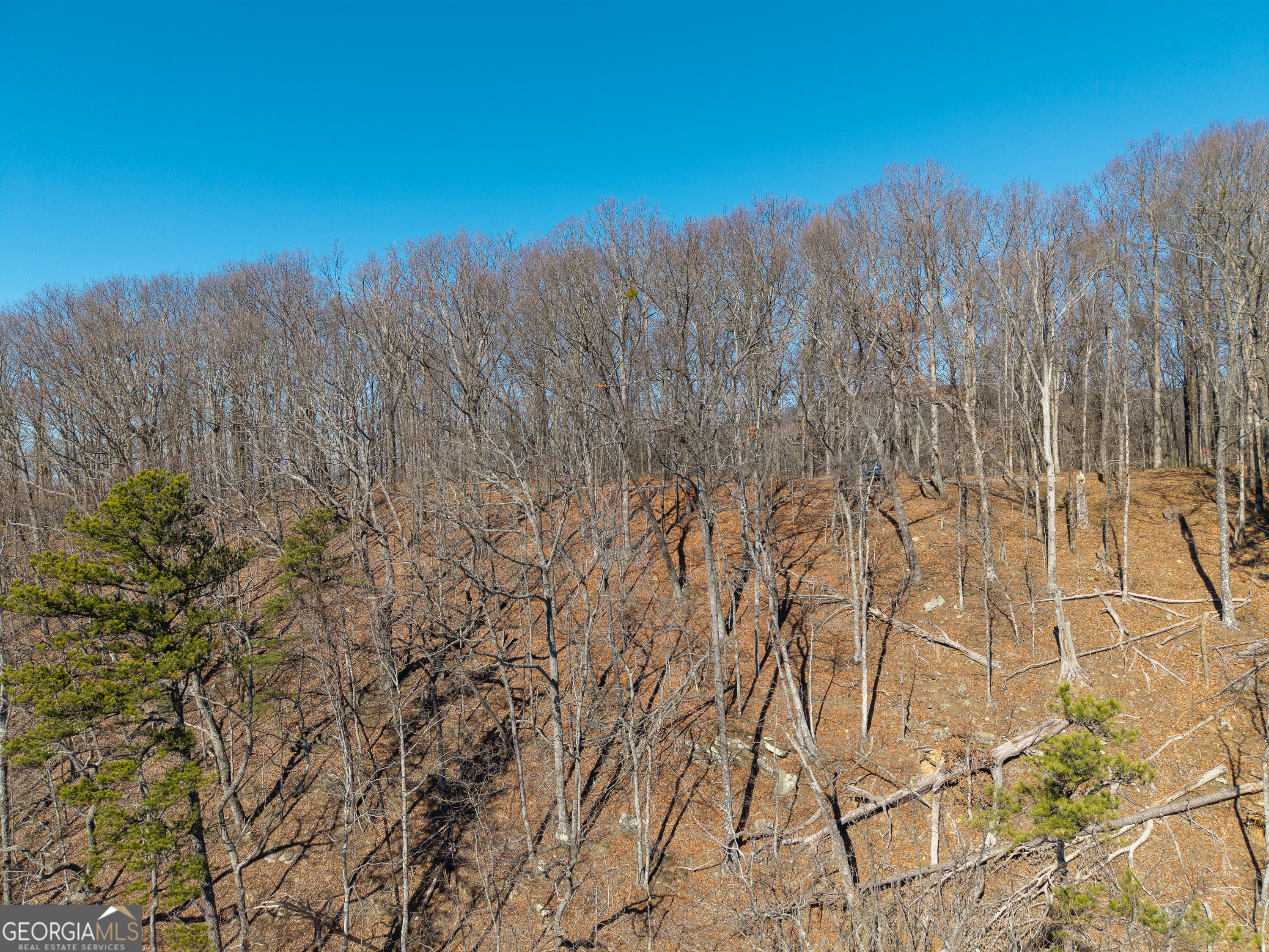 Lot 109 B Folkstone Road Talking Rock, GA 30175 - Photo 16 of 25 a view of a yard with a tree