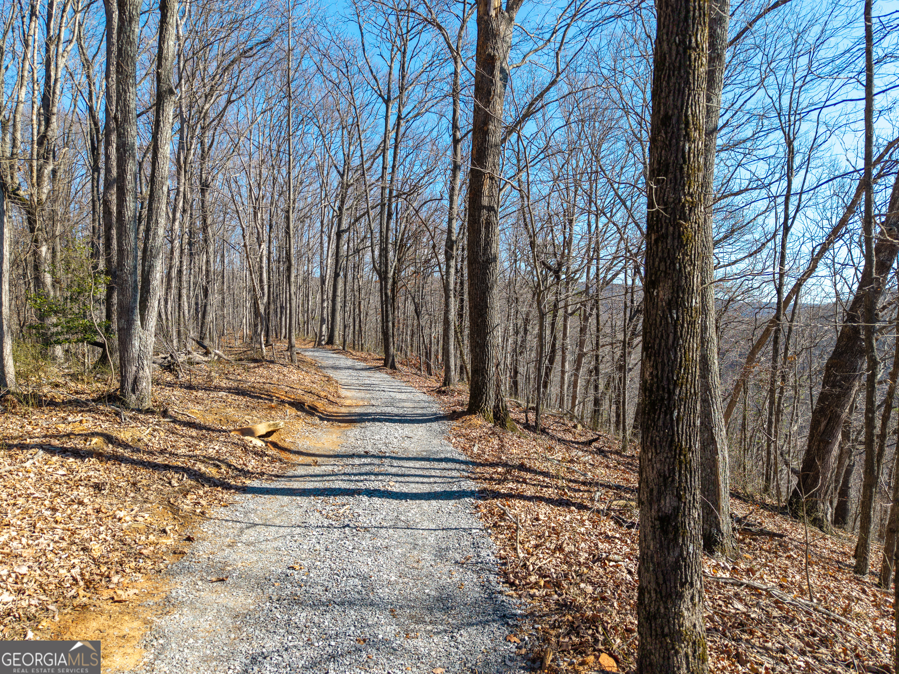 Lot 109 B Folkstone Road Talking Rock, GA 30175 - Photo 19 of 25 a view of a yard with large trees