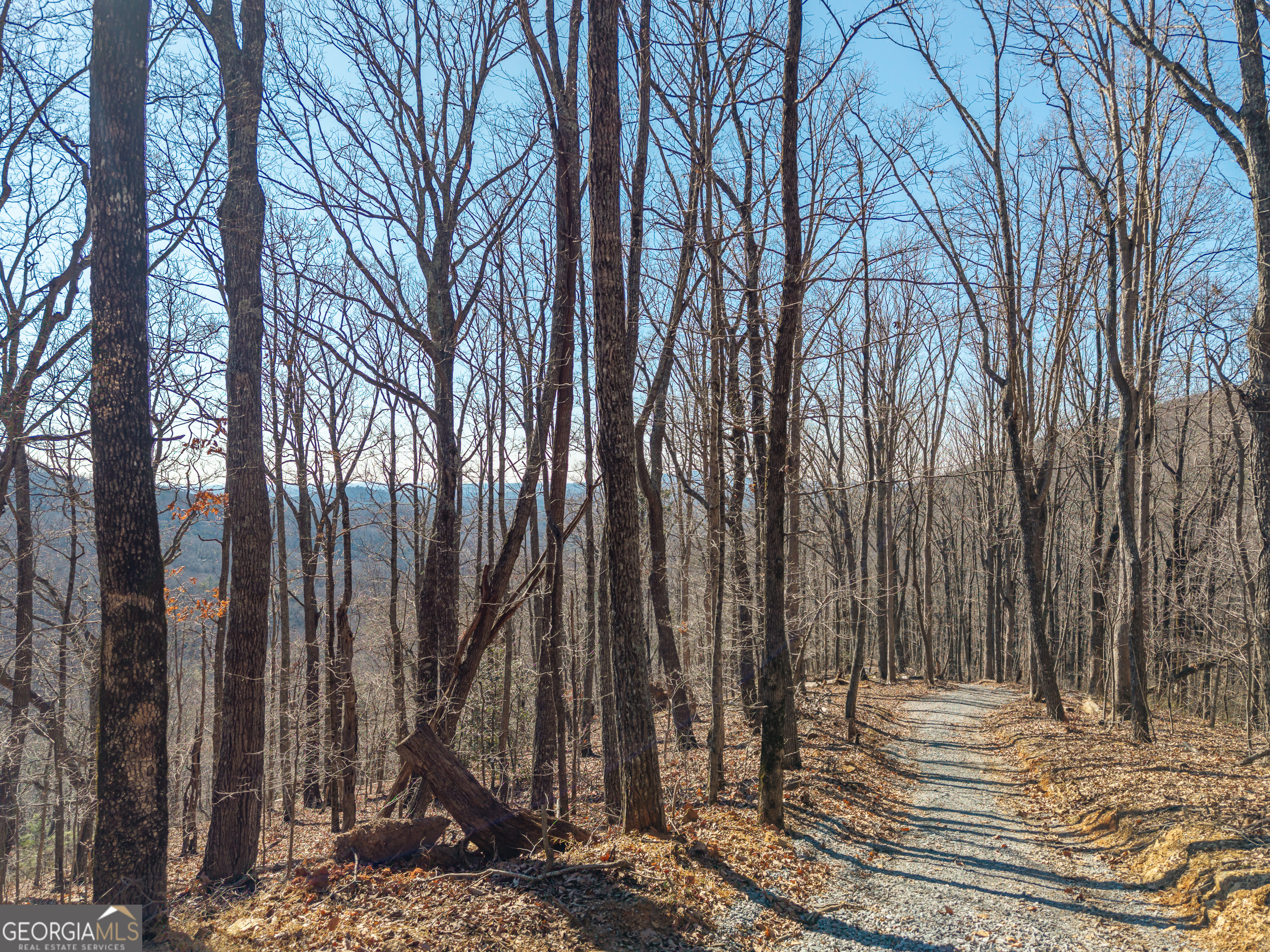 Lot 109 B Folkstone Road Talking Rock, GA 30175 - Photo 2 of 25 a view of a backyard of the house