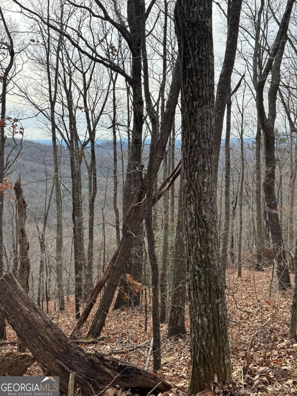 Lot 109 B Folkstone Road Talking Rock, GA 30175 - Photo 23 of 25 a backyard of a house with lots of green space