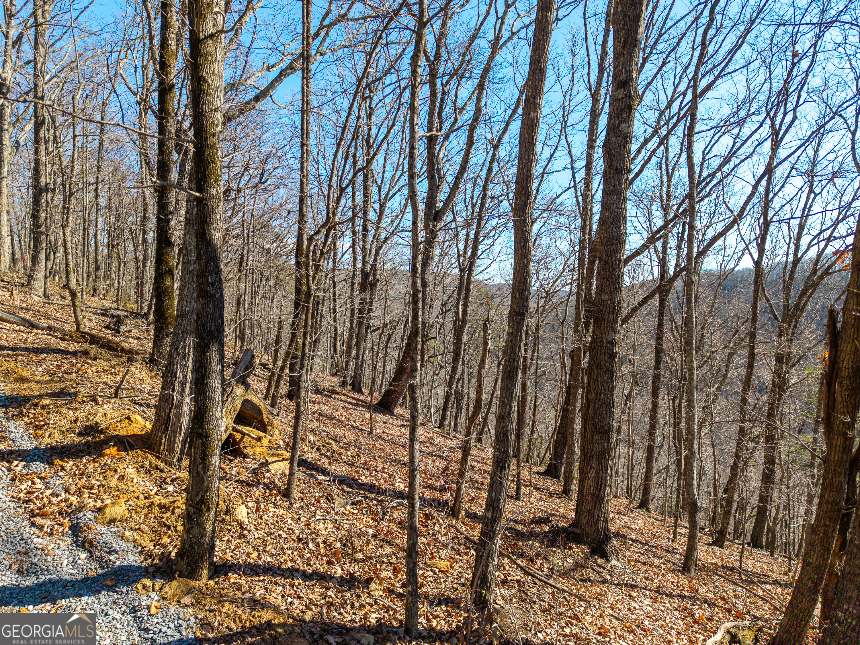 Lot 109 B Folkstone Road Talking Rock, GA 30175 - Photo 3 of 25 a view of outdoor space