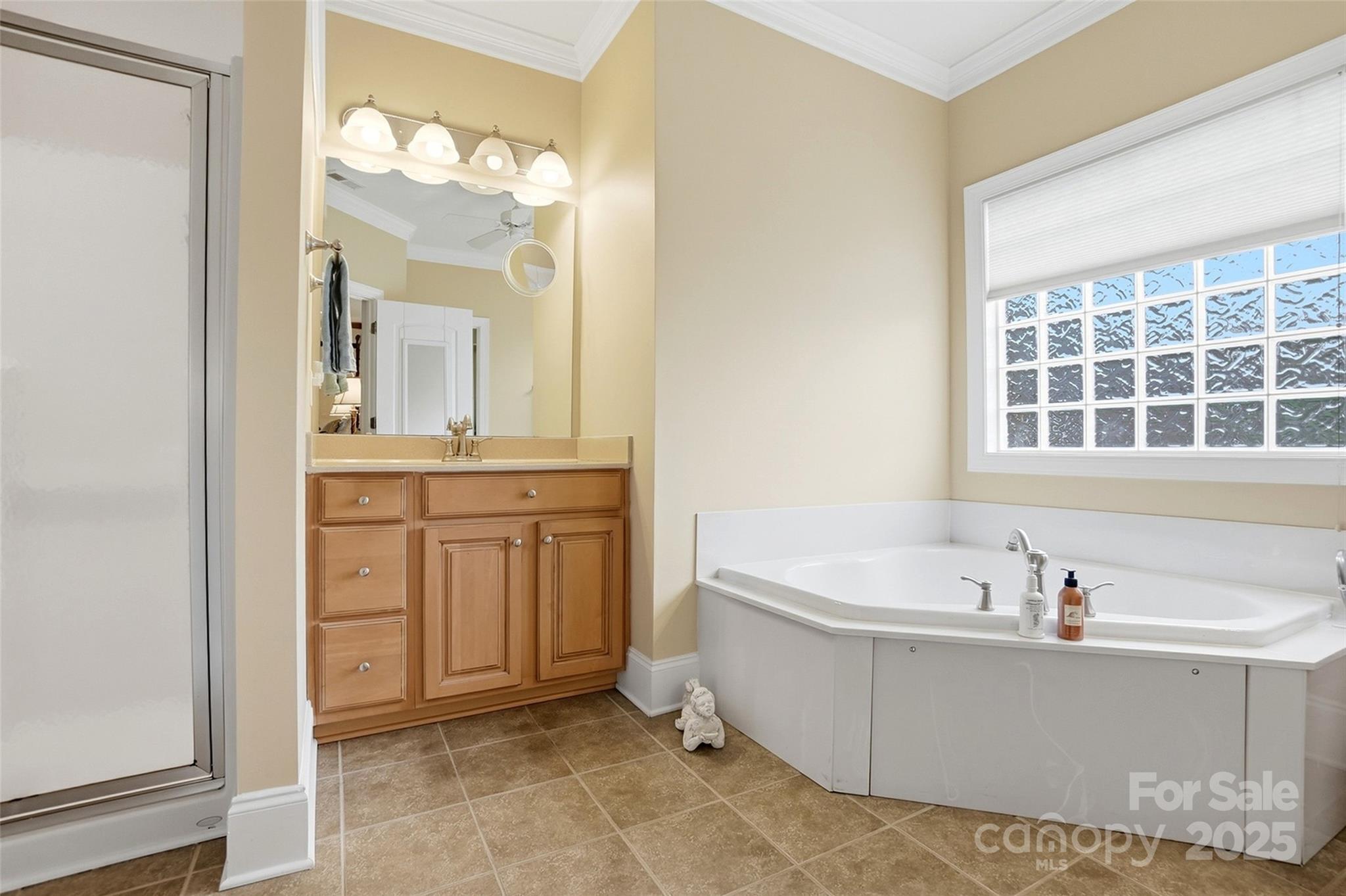 7200 Firespike Road Charlotte, NC 28277 - Photo 25 of 48 a spacious bathroom with a tub sink and mirror