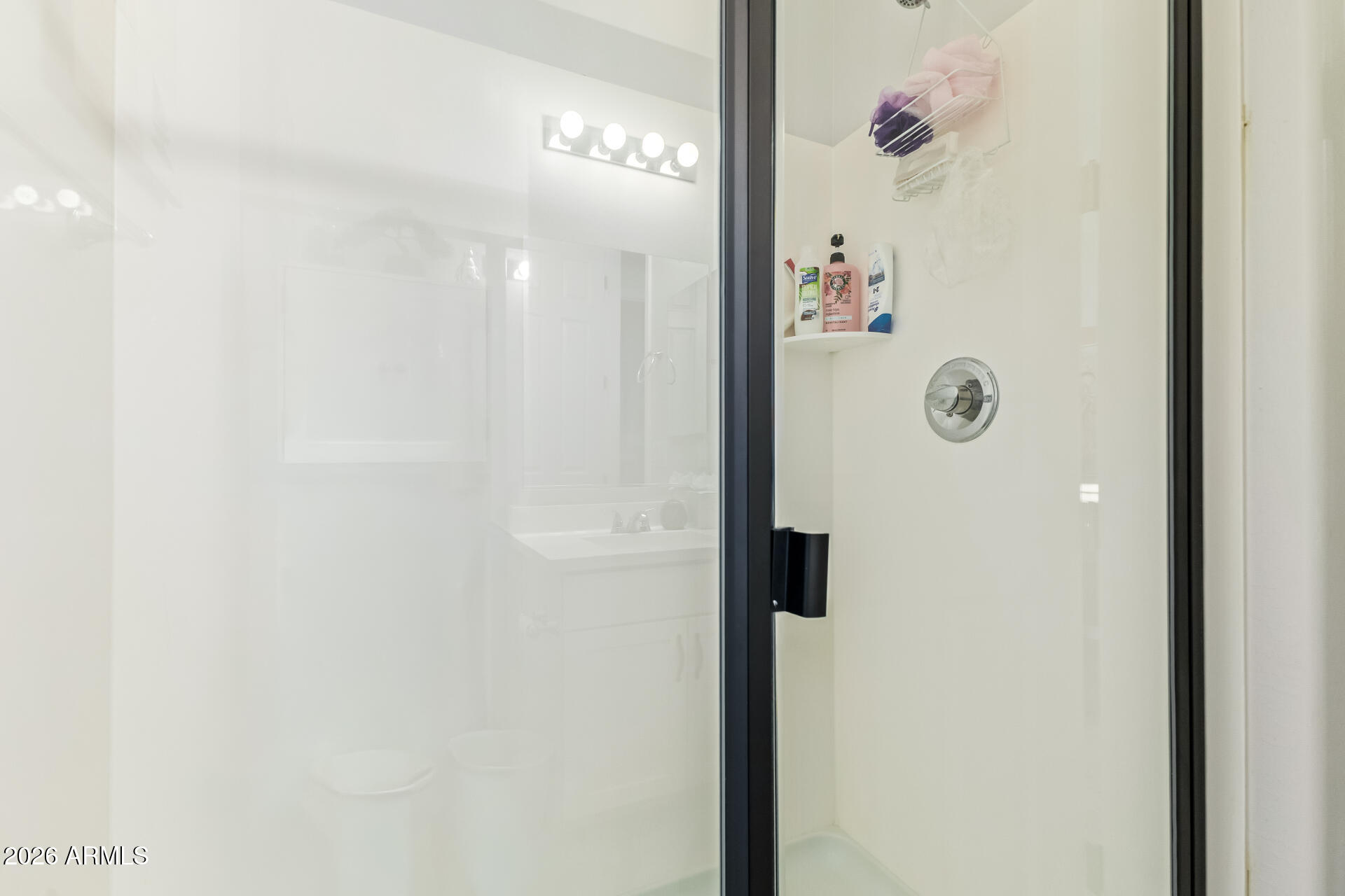 1317 East Fremont Road Phoenix, AZ 85042 - Photo 30 of 41 a bathroom with a shower