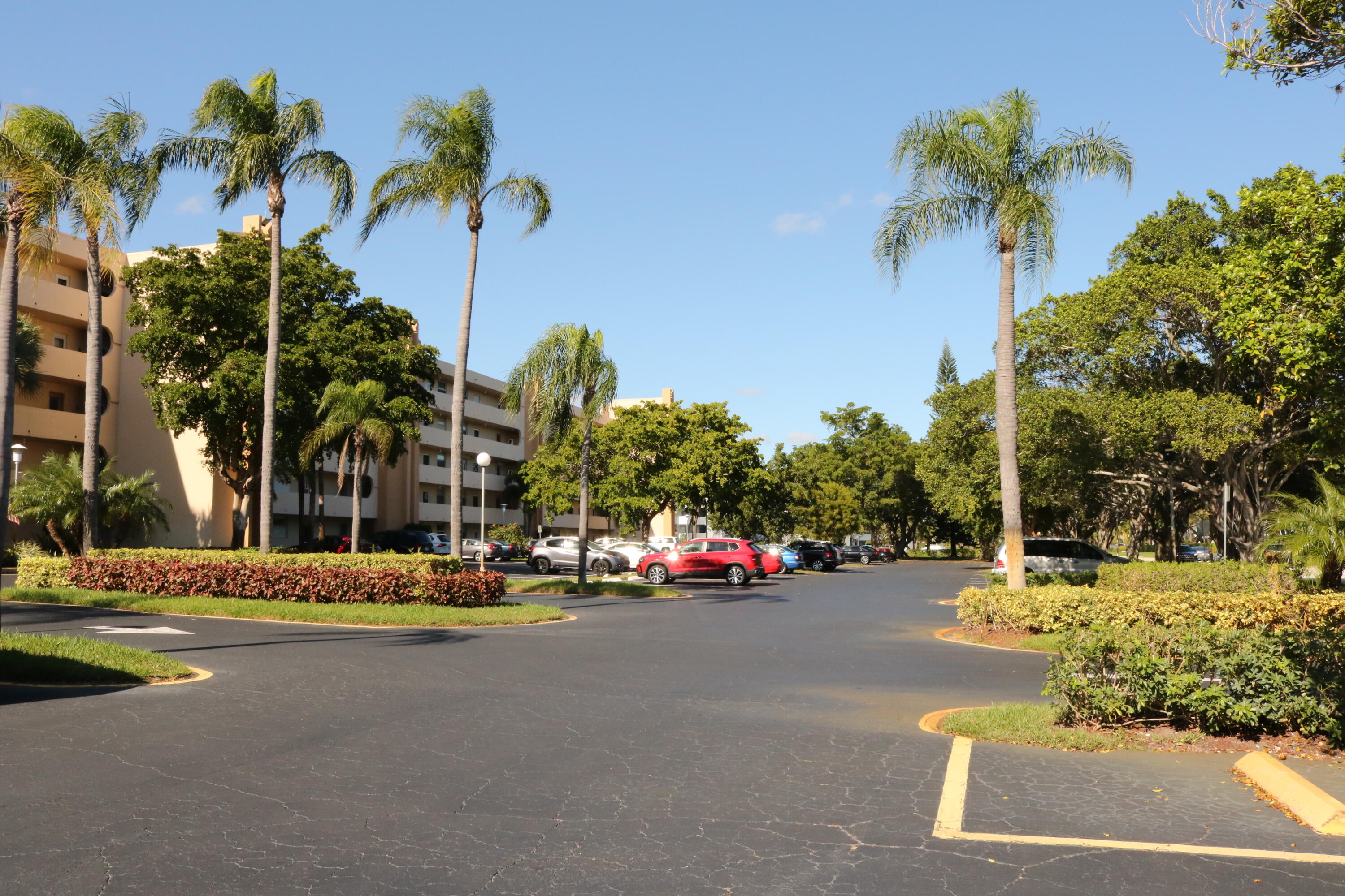 6461 Northwest 2nd Avenue, Unit 508 Boca Raton, FL 33487 - Photo 39 of 39 a view of road with palm trees