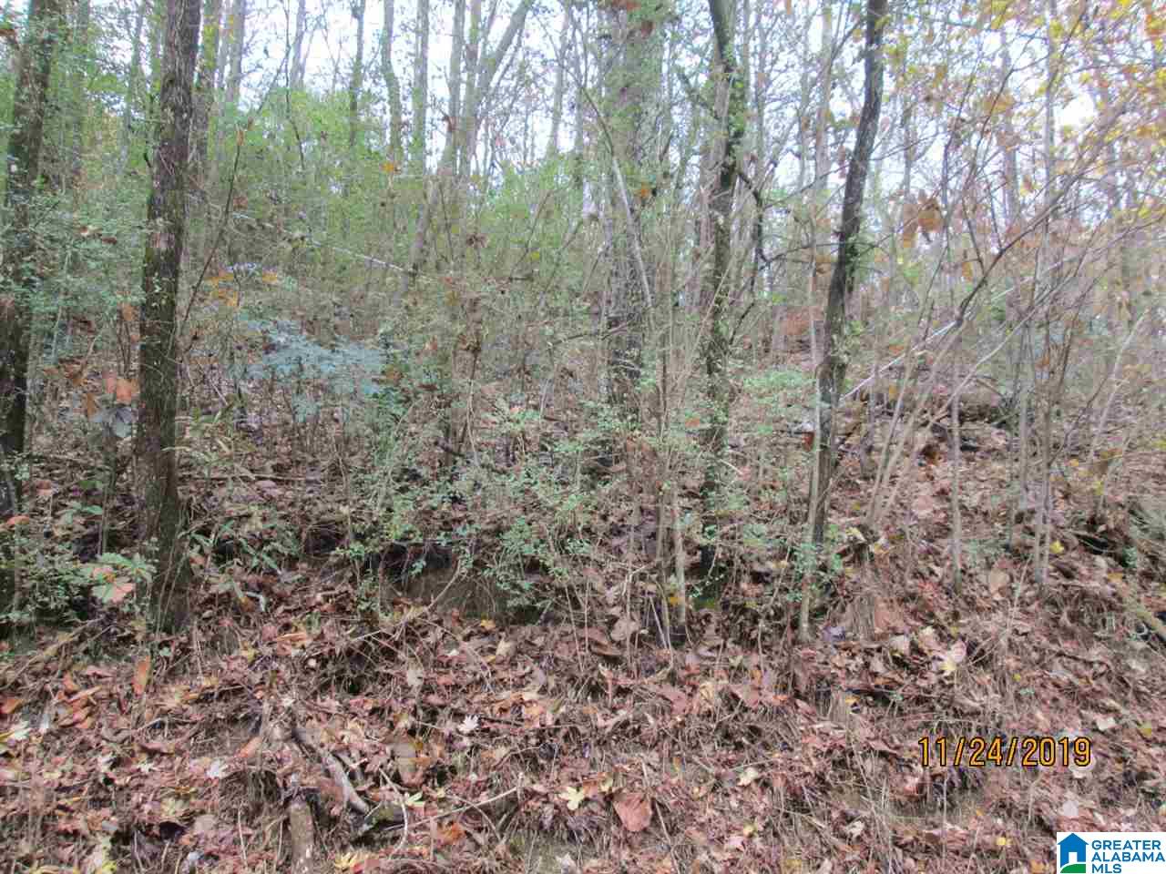 0 Cross Street, Unit 2 80 ACRES Springville, AL 35146 - Photo 6 of 8