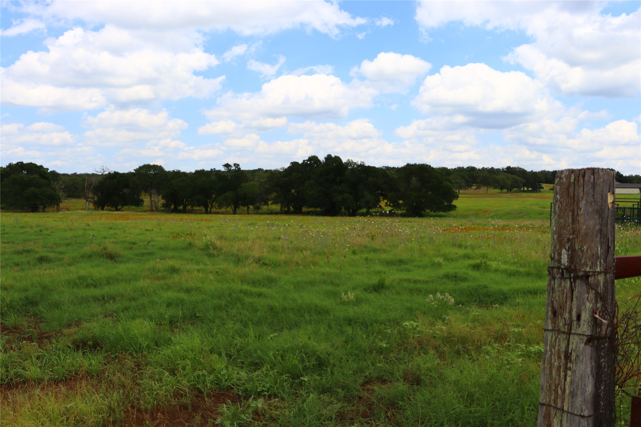 174 Wilson Road, Unit A Elgin, TX 78621 - Photo 20 of 34 a view of a field with an trees in the background