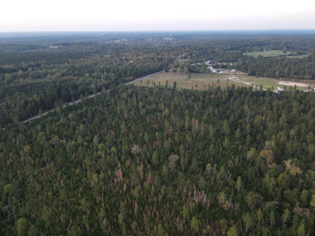 0 Blue Jay Road Hodges, SC 29653 - Photo 7 of 28 Gallery Image 7