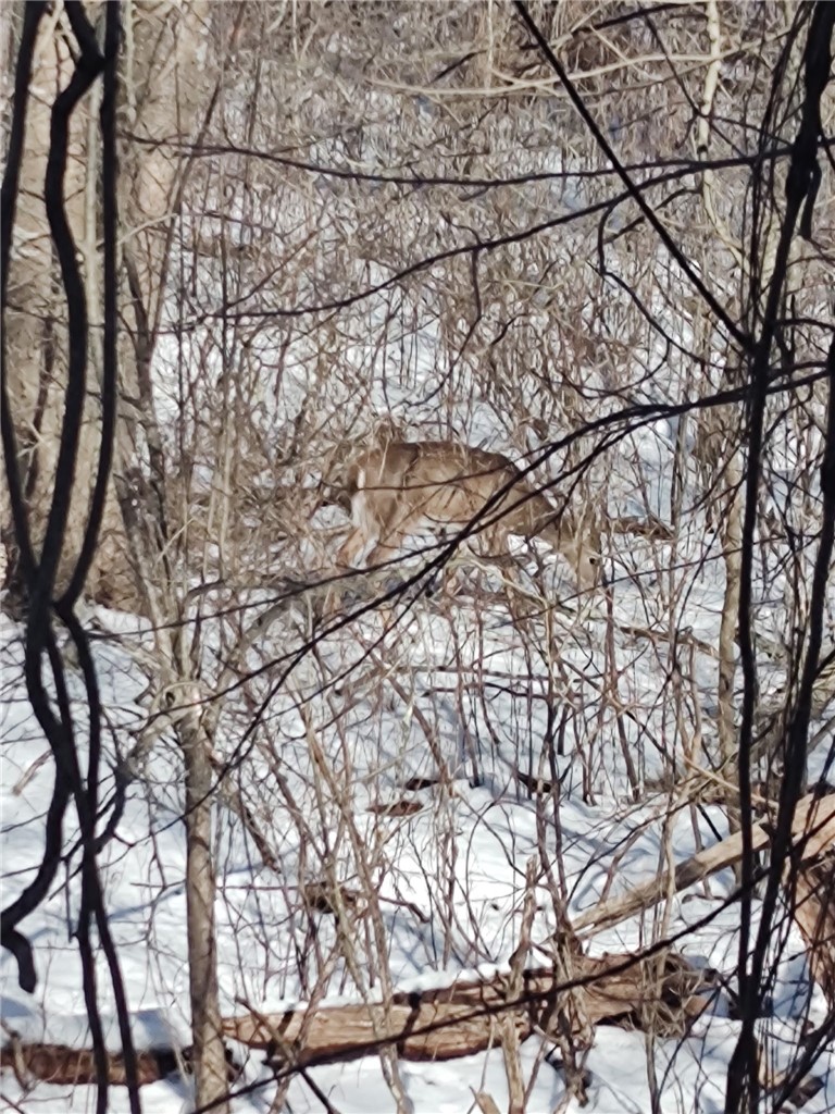 72 West Shore Road, Unit 103 Warwick, RI 02889 - Photo 17 of 20