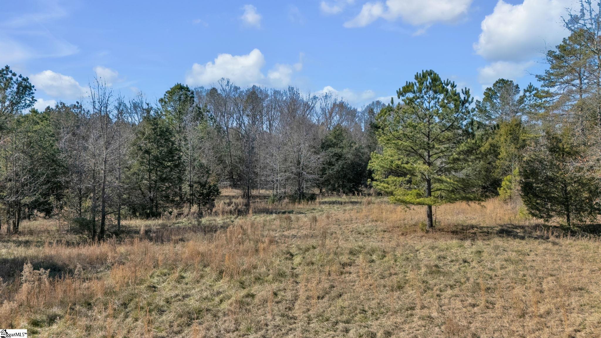 275 Stockton Road Fountain Inn, SC 29644 - Photo 1 of 14