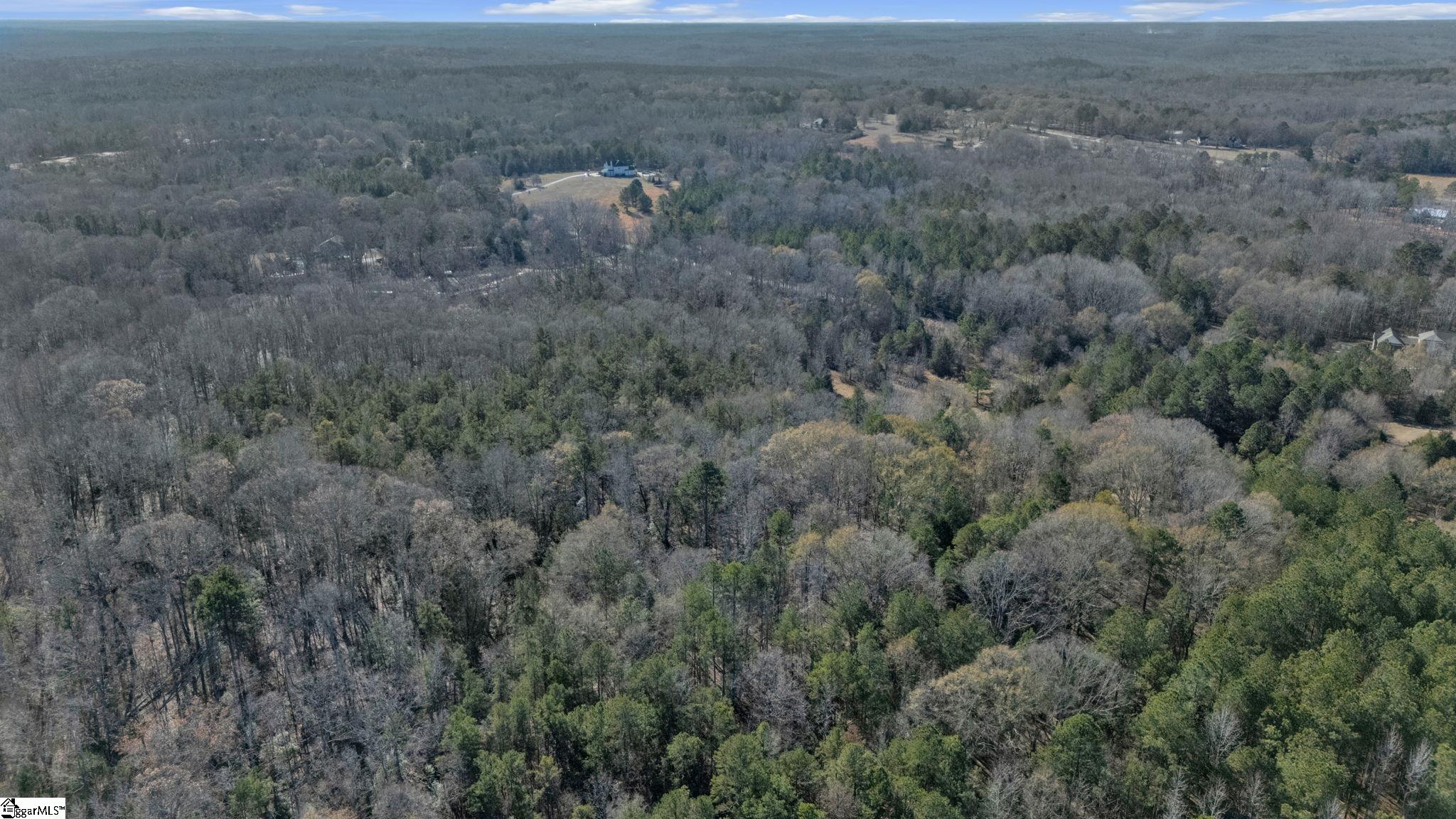 275 Stockton Road Fountain Inn, SC 29644 - Photo 7 of 14