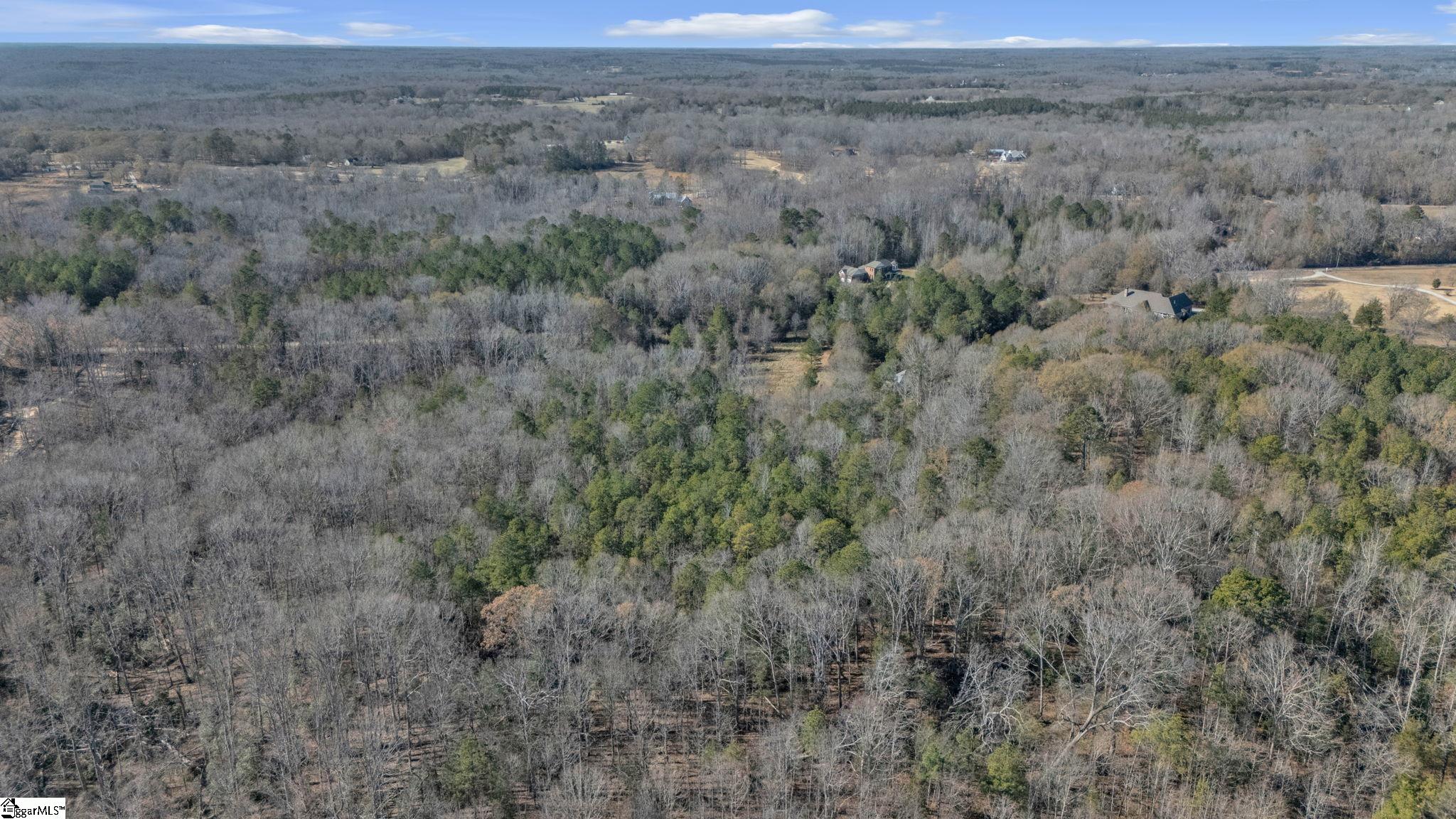 275 Stockton Road Fountain Inn, SC 29644 - Photo 10 of 14