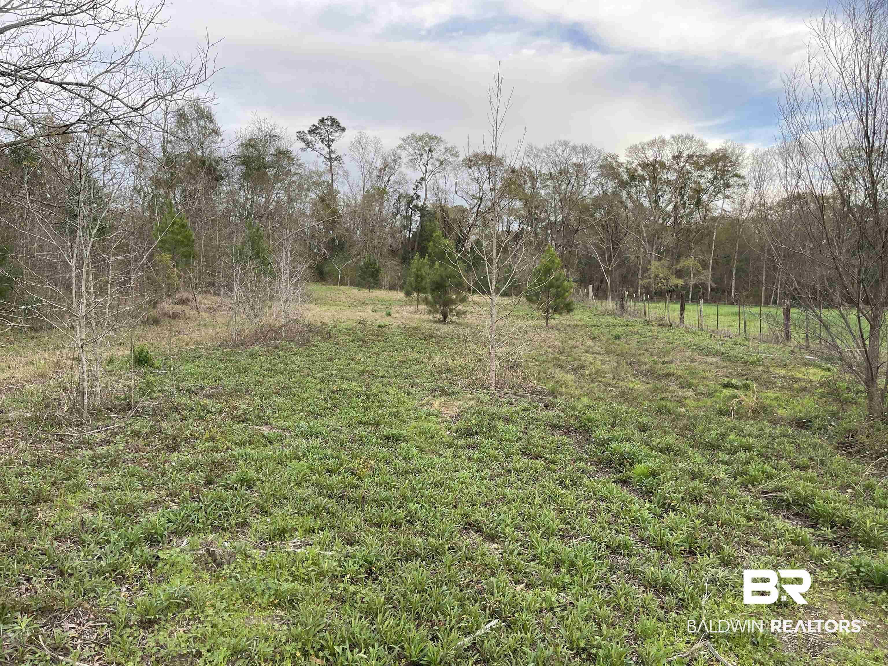 0 Barlow Road Loxley, AL 36551 - Photo 2 of 2