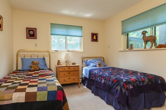 3230 Brighton Road Howell, MI 48843 - Photo 35 of 60 Photo 38