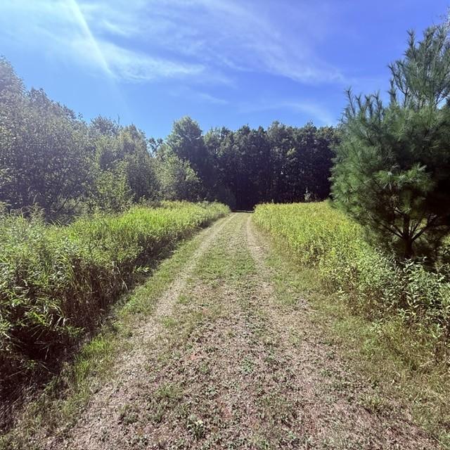 Tbd West Lilja Avenue Shell Lake, WI 54871 - Photo 2 of 23 Gallery Image 2