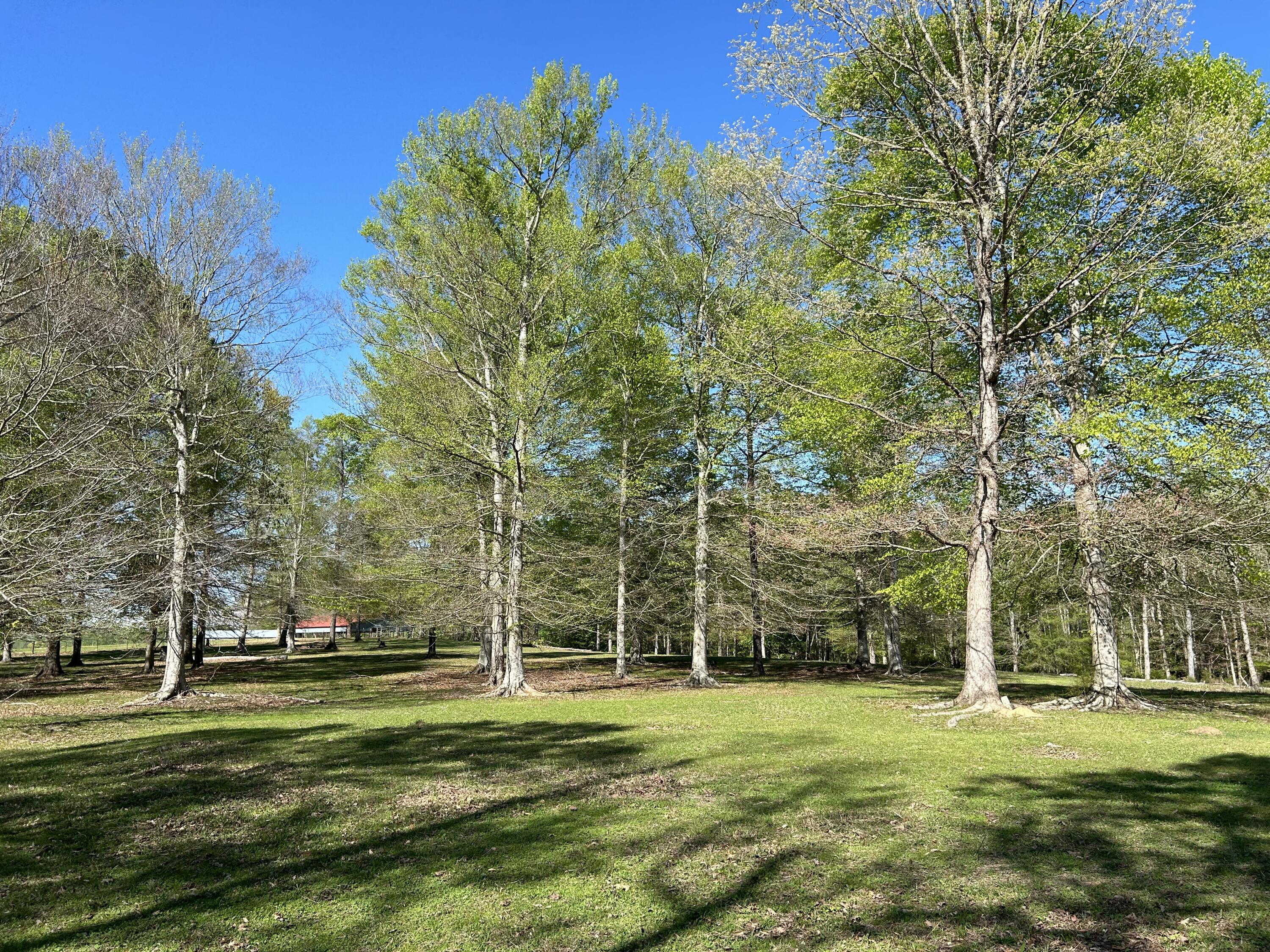 290 Hunter Island Lane Decatur, TN 37322 - Photo 13 of 39 IMG_1637