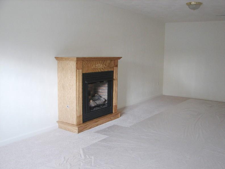 4175 Daugherty Road Salem, VA 24153 - Photo 3 of 5 a view of an empty room and fire place