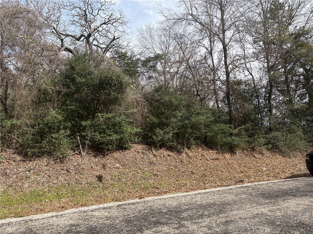 Tbd Pleasant Hill Road Bryan, TX 77807 - Photo 2 of 7 a view of a yard covered in snow